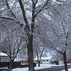 Meet your Posher, Emz